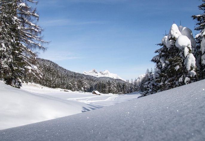 Bild 18