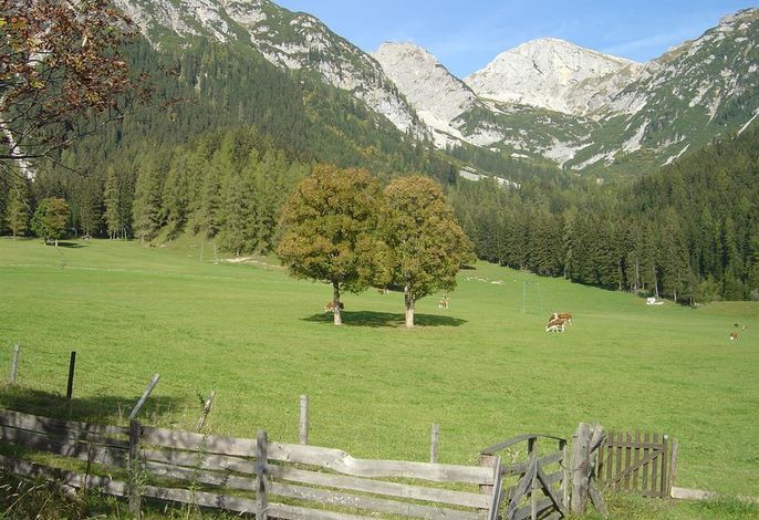 Bild 7
