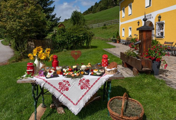 Bild 15