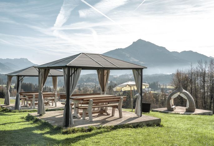 Bild 15