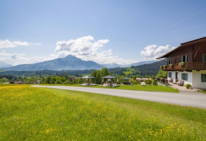 Bild 19