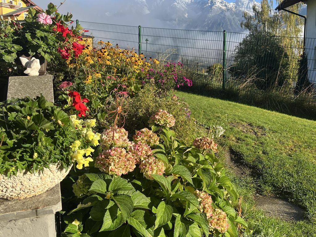 Alpenperle