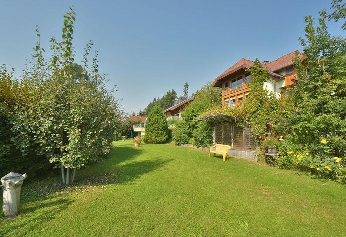 Bild 36