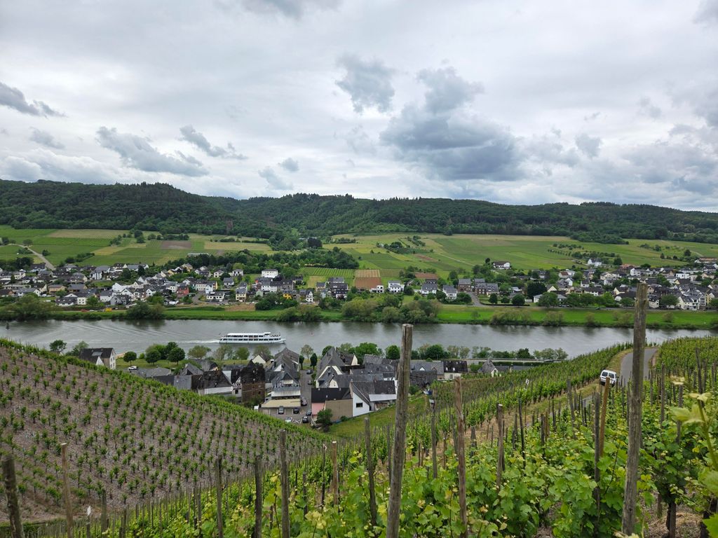 Ferienwohnungen Mosel 115