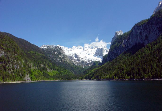 Bild 14