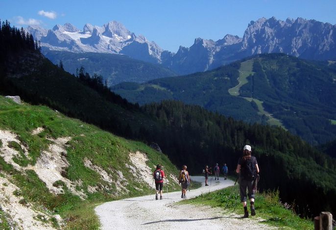 Bild 16