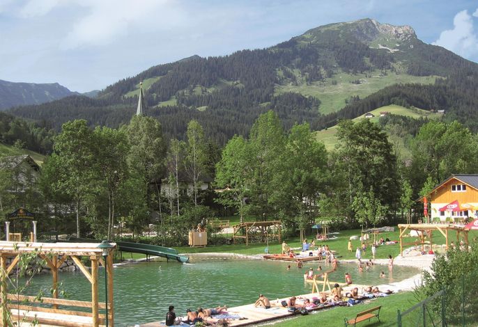 Bild 12