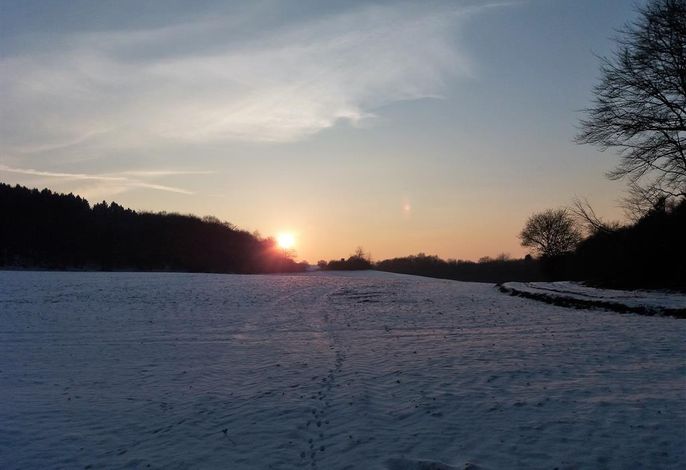 Bild 64