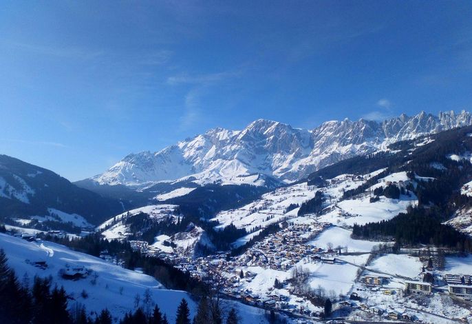 Bild 67
