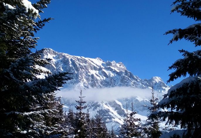 Bild 62