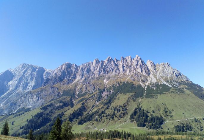 Bild 64