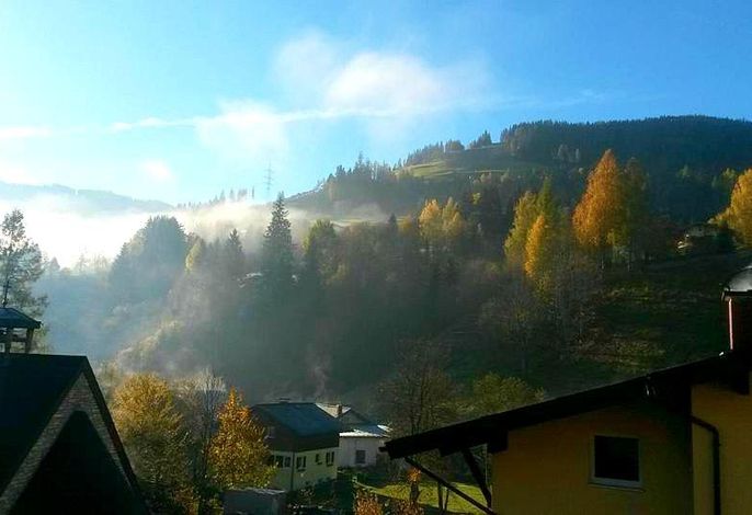 Bild 40