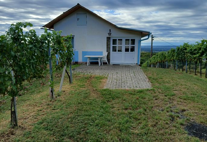 Bild 36