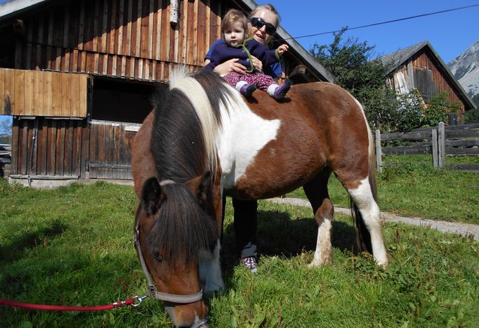 Bild 16