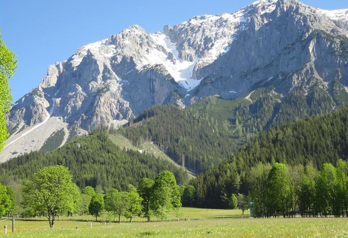 Bild 19