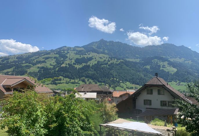 Bild 12