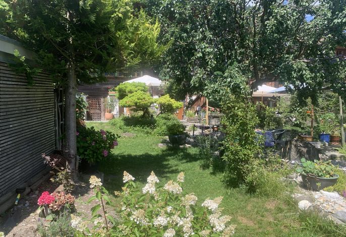 Bild 11
