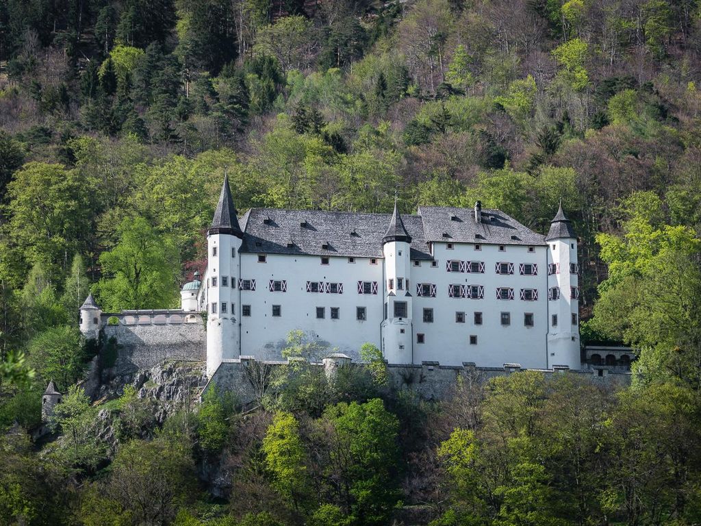 Ferienwohnung Vogelsang
