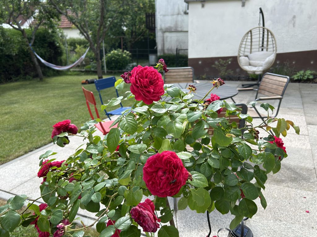 Ferienhaus Lonie