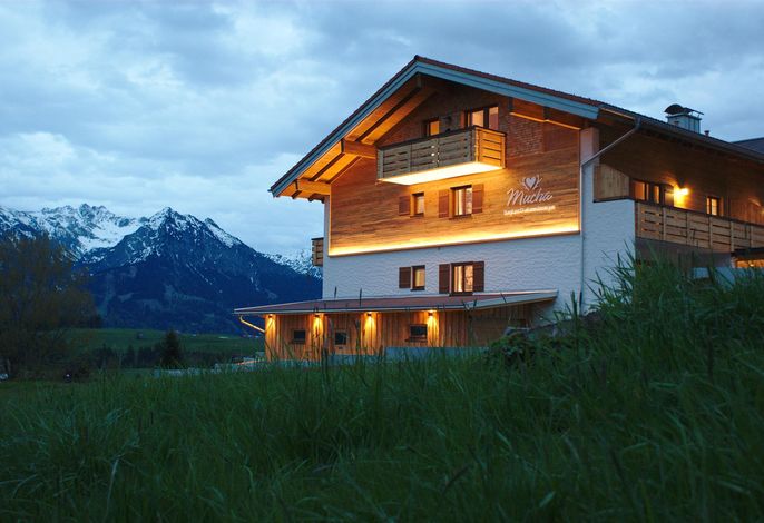Bild 5