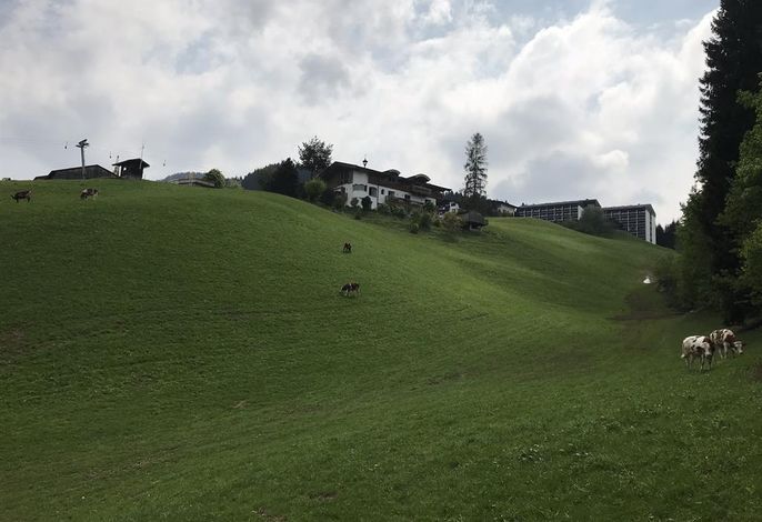 Bild 2