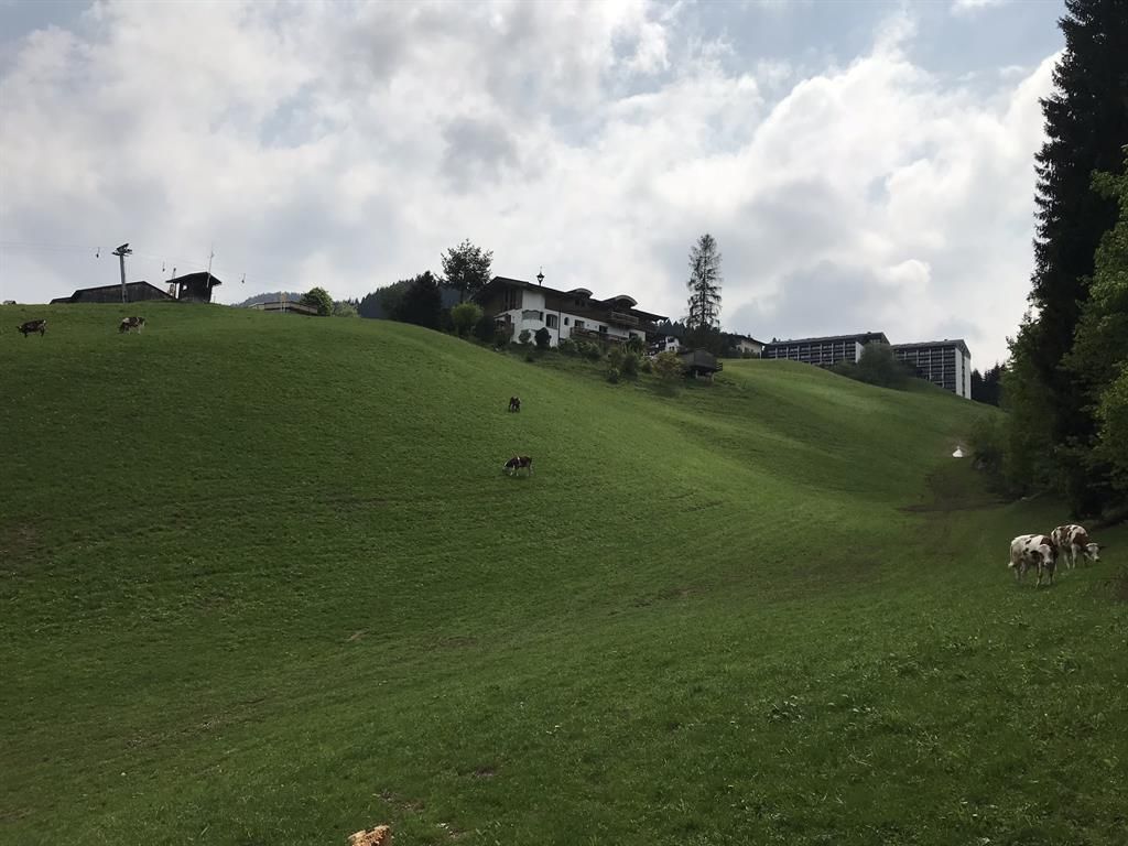 Bergsigt Appartement Südseite
