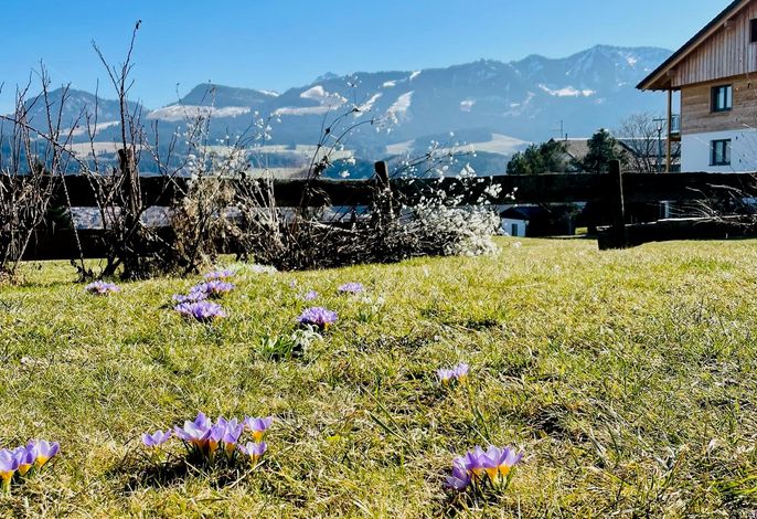 Bild 17