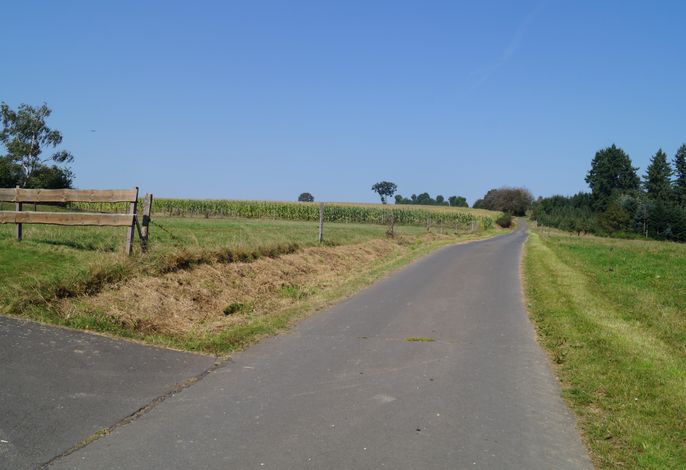 Bild 18