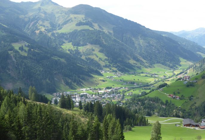 Bild 16