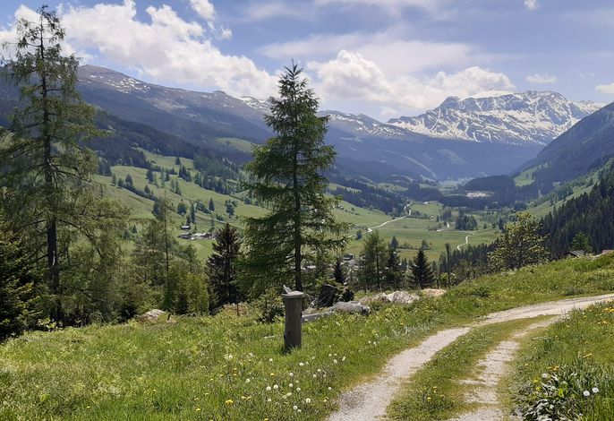 Bild 22