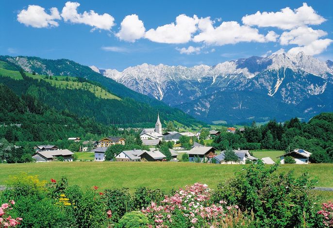 Bild 12