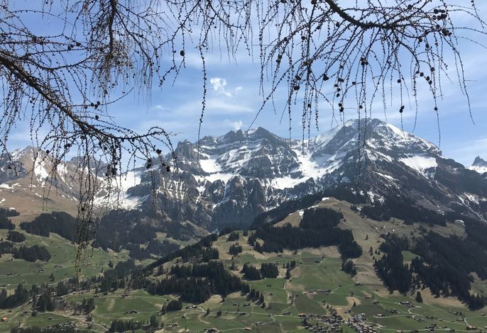 Bild 11