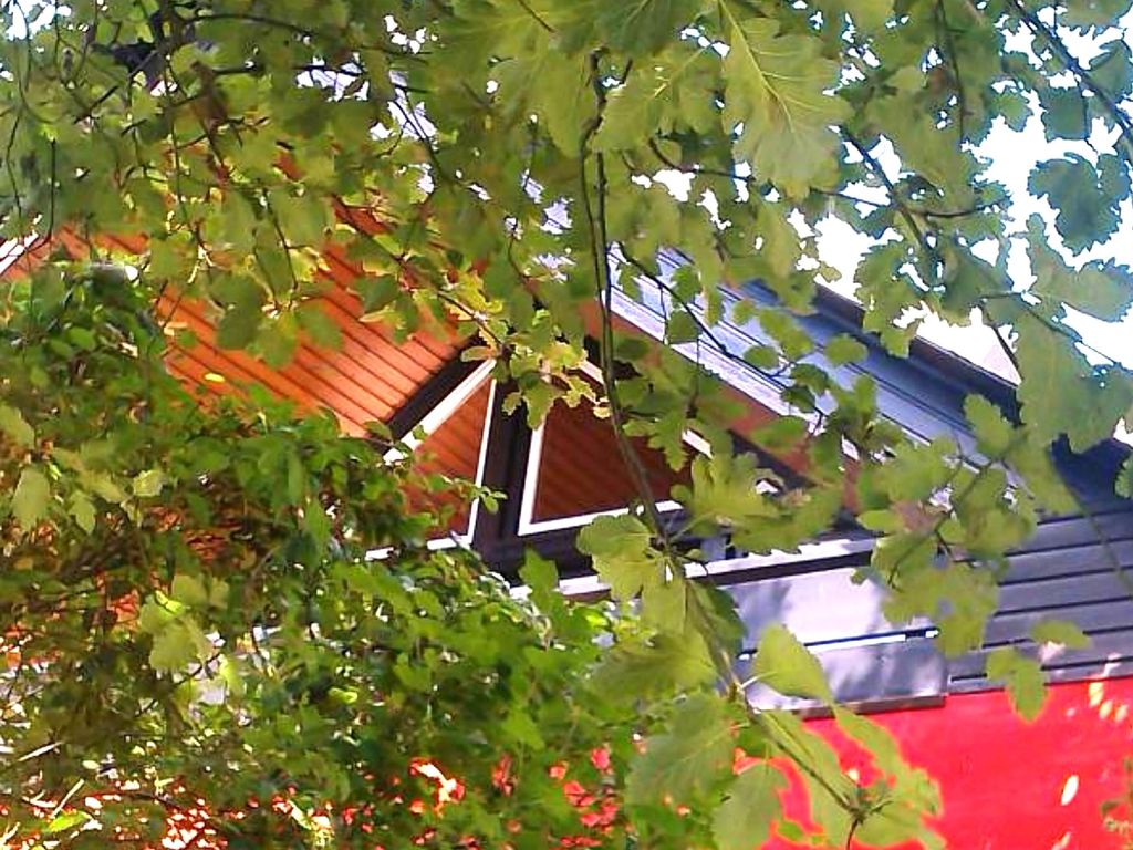 Ferienwohnung Bövergeest Fam. Weisenberger