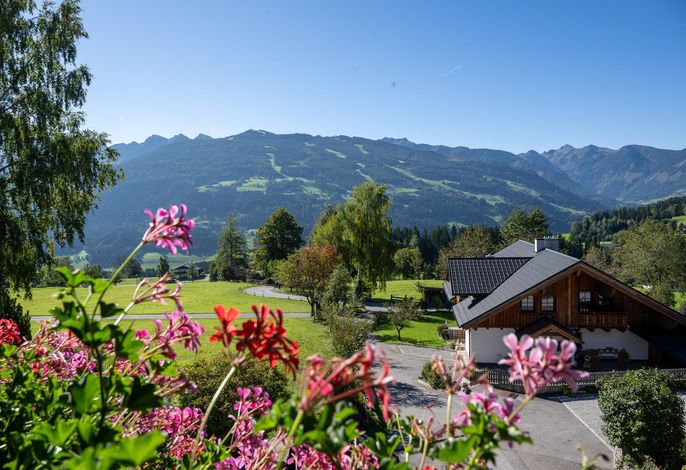Bild 16
