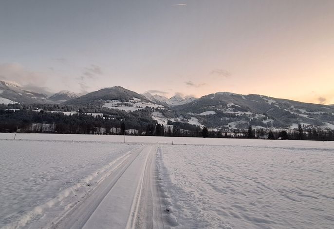 Bild 14