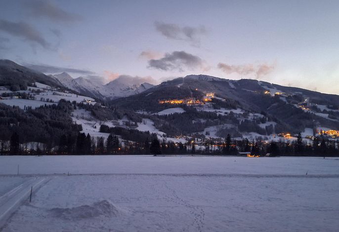 Bild 15