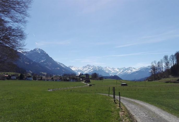 Bild 37
