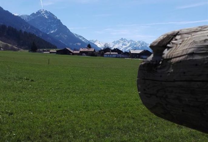 Bild 35