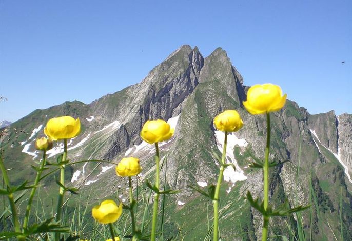 Bild 38