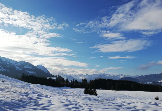 Bild 56