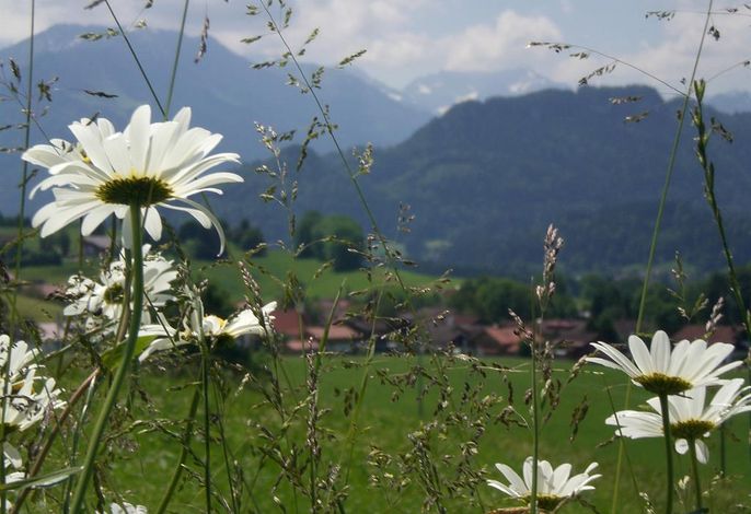 Bild 33