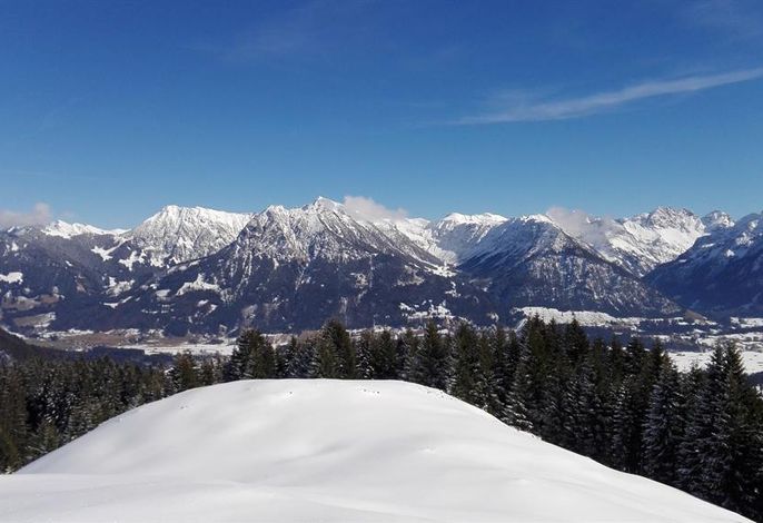 Bild 46
