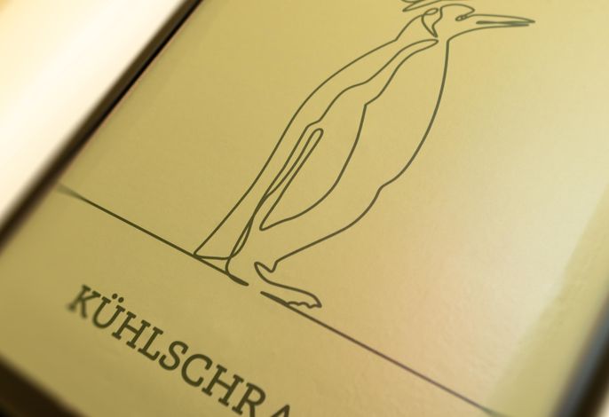 Bild 50