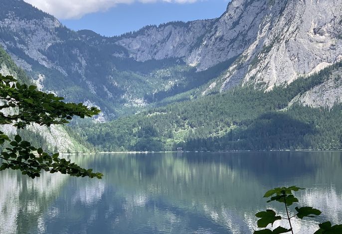 Bild 51
