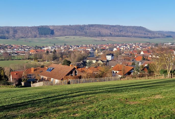 Bild 7