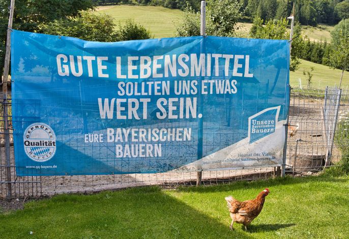 Bild 17