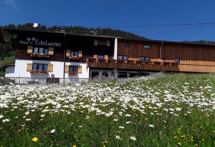 Ferienwohnung 5 "Hirsch"