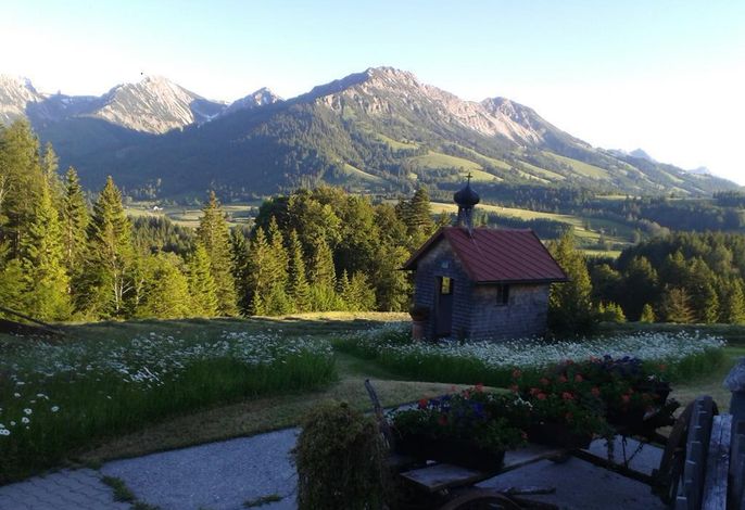 Bild 11