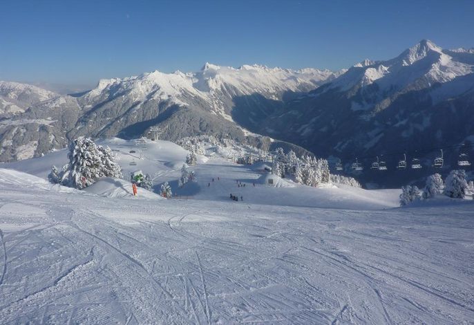 Bild 53