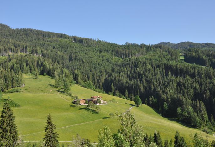 Bild 10